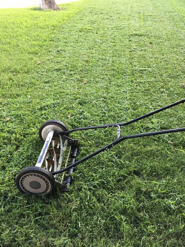 lawn-1812944_640